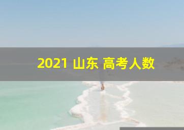 2021 山东 高考人数